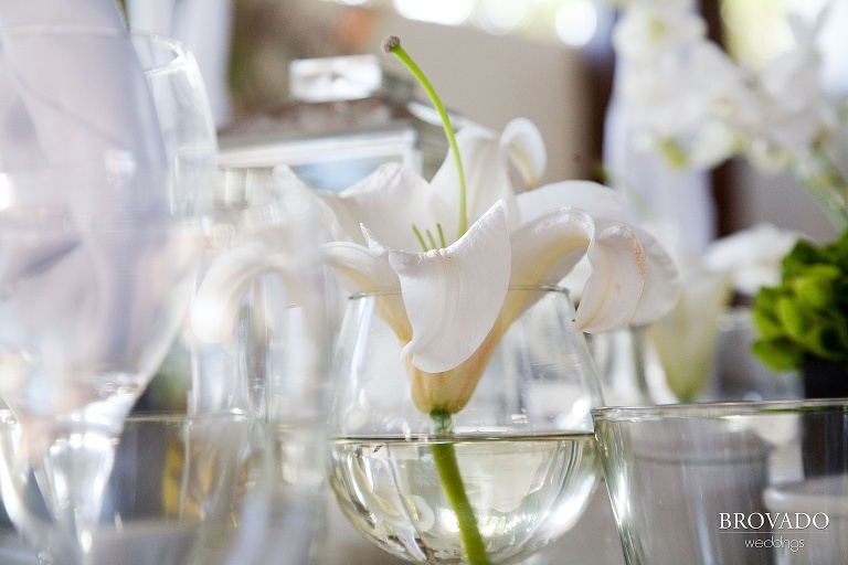 close up of lily in glass