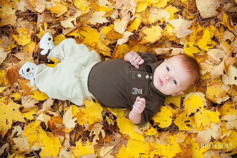 newborn lays among yellow fall leaves