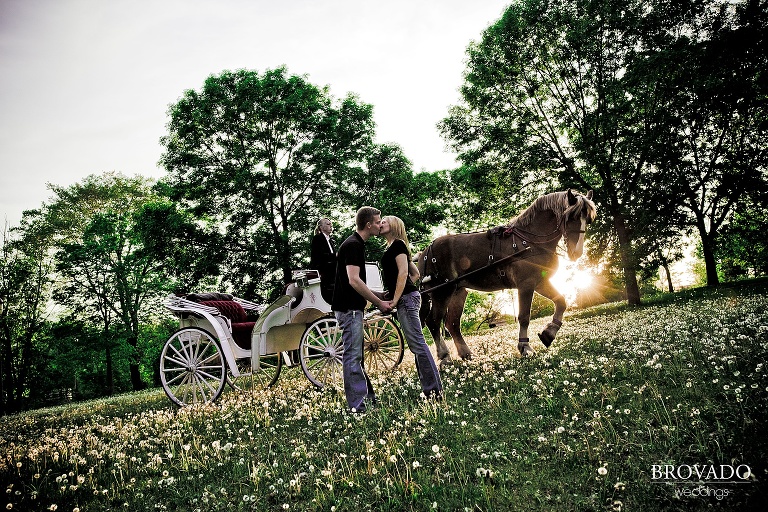 couple kissing in front of horse drawn carriage