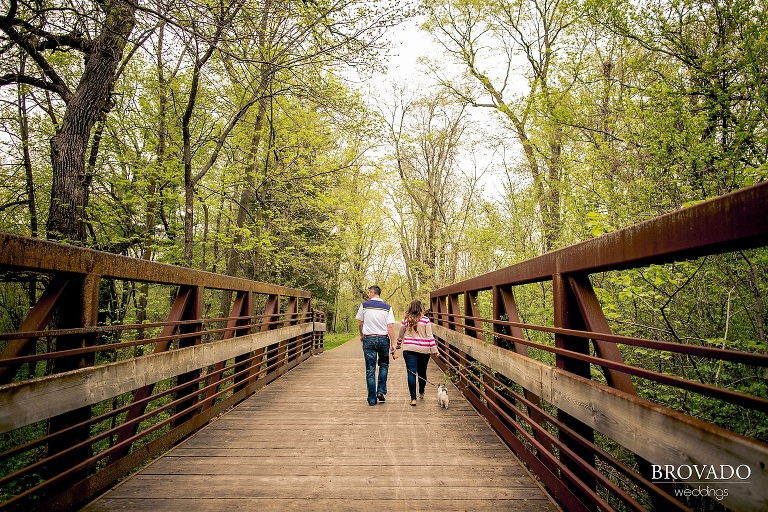 Marisa's maternity photos with her dog by Brovado Weddings