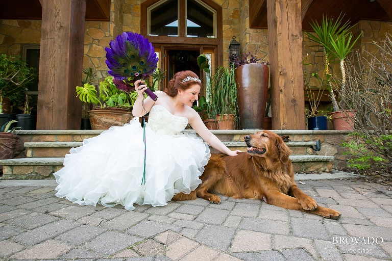 Sunrise River Apple Farm Orchard Wedding Photos with dog