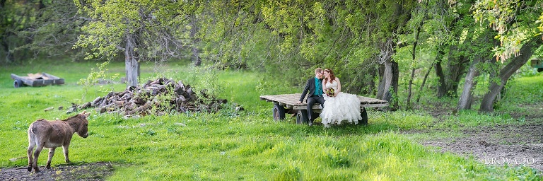 Sunrise River Apple Farm Orchard Wedding Photos