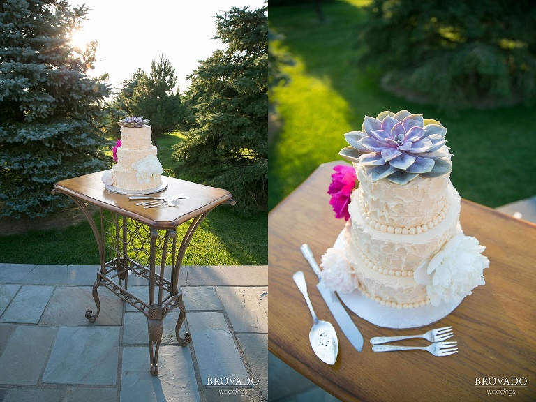 Pipestone MN Wedding Photography at Fountain Prairie Farm wedding cake