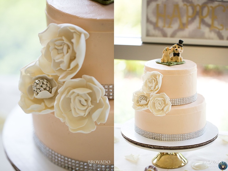 Ashley and Stephen get married in lacrosse wisconsin shot by pre