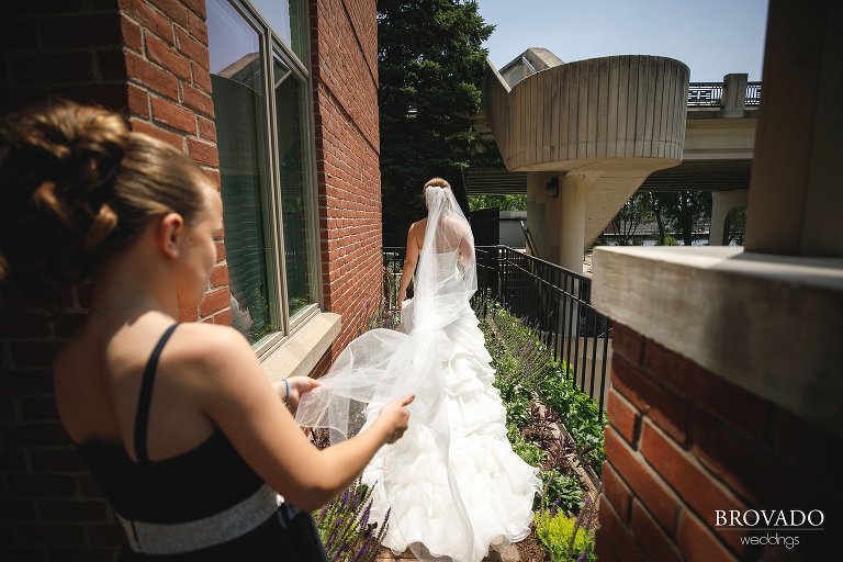 First look in backyard garden
