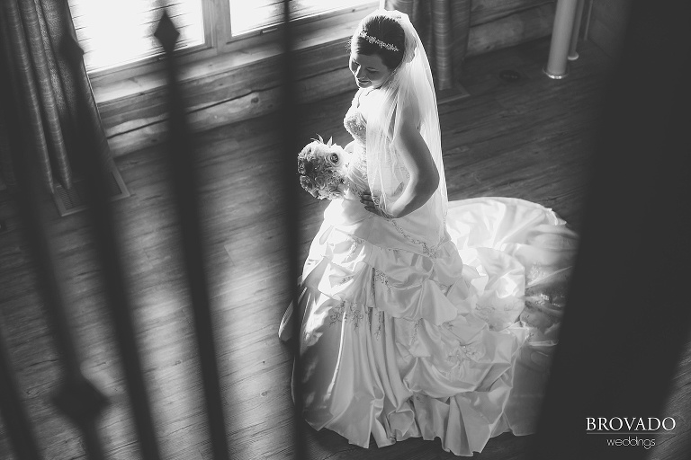 Black and white aerial bridal portrait