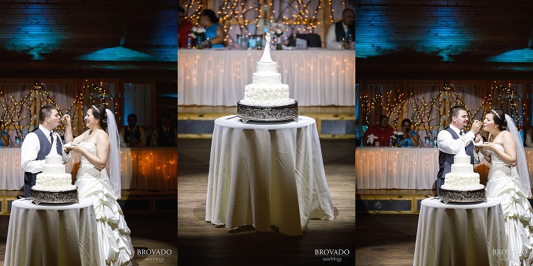 Cake cutting in the middle of the dance floor