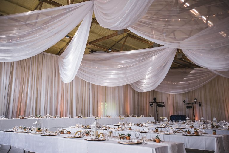 Wedding reception setup with draping, string lights, and succulents