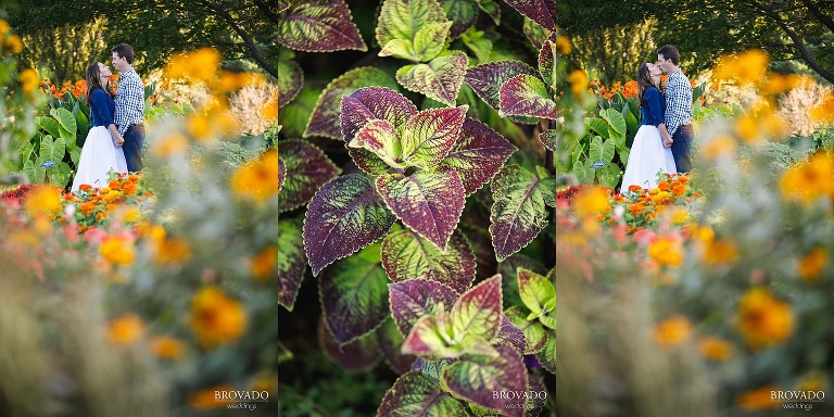 Triptych of Hannah and Jason kissing