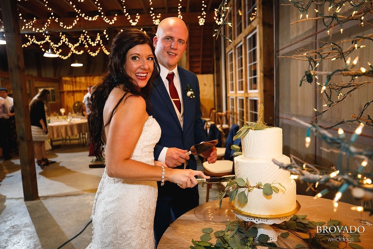 Brenna and Derek cutting their cake