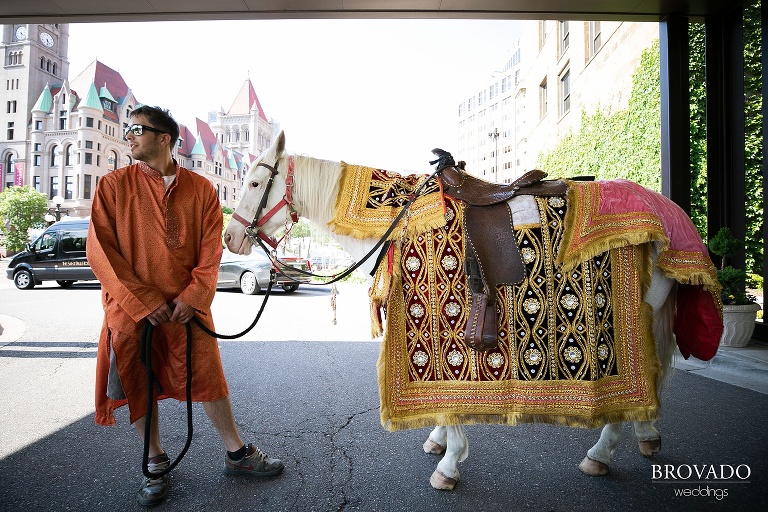 Adorned horse for Baraat