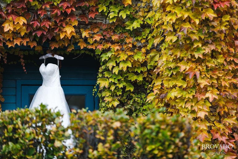 wedding dress hanging off a leaf covered wall