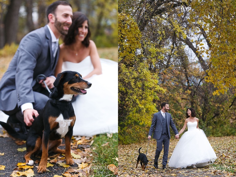 Bride and groom with their dog Reba