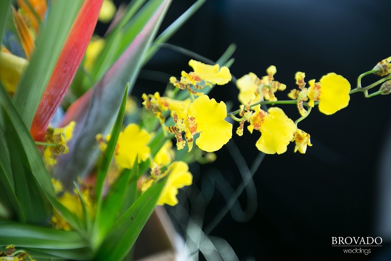 Penny and Alan's Hawaii Destination Wedding Blog Post-24.jpg