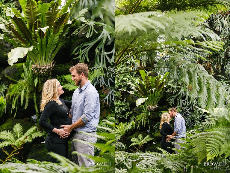 Conservatory Maternity in front of ferns