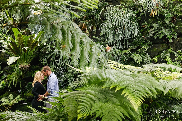 indoor Conservatory Maternity for Sarah and Cody