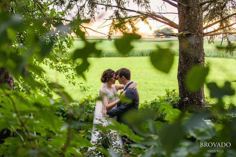 Sunset embrace between the trees